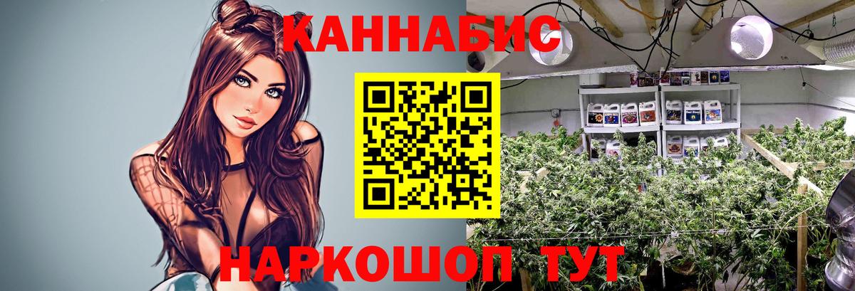 Конопля Bruce Banner  Конопля VHQ  Вход с VPN  Комсомольск-на-Амуре  Бошки марихуана Bruce Banner  Каннабис OG Kush 